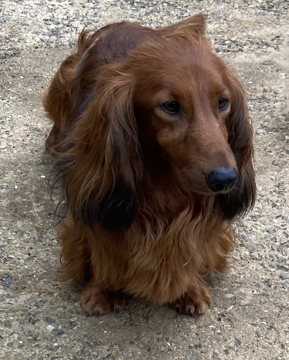 Pablo Du Clos Des Bords De Mer